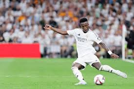 她的这些评 她的这些评